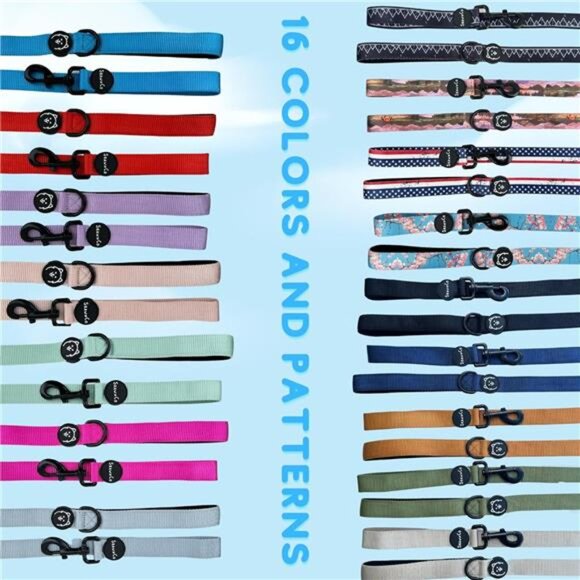 Dream Walk Dog Leash- Premium, Nylon Pet Leash with Soft Neoprene Handle - Picture 5 of 7